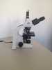 Laboratorní mikroskop Model BA 316 